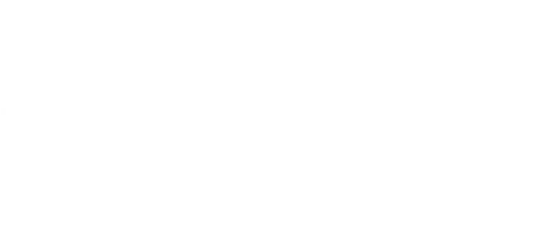Logo Of Nextflex
