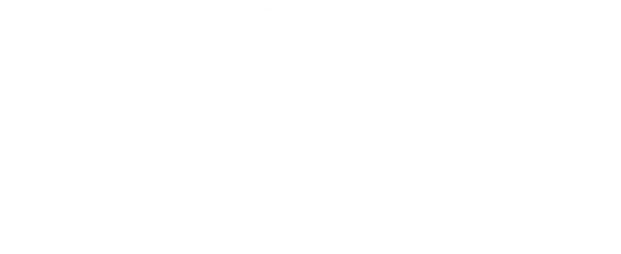 Logo Of North Western University